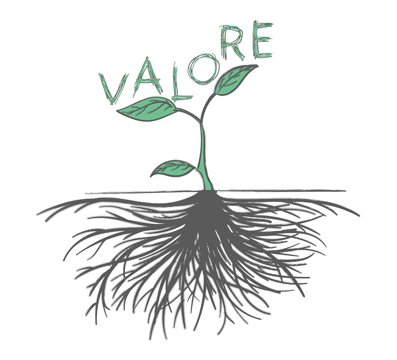 fabbrica agile concetto di valore